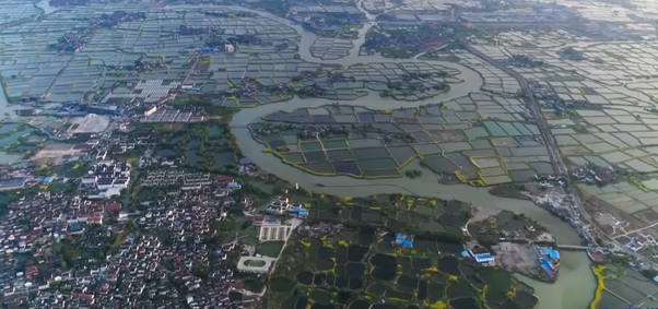 lam-nong-nghiep-thong-minh-gan-14-ty-dan-trung-quoc-khong-chi-du-an-ma-con-an-ngon