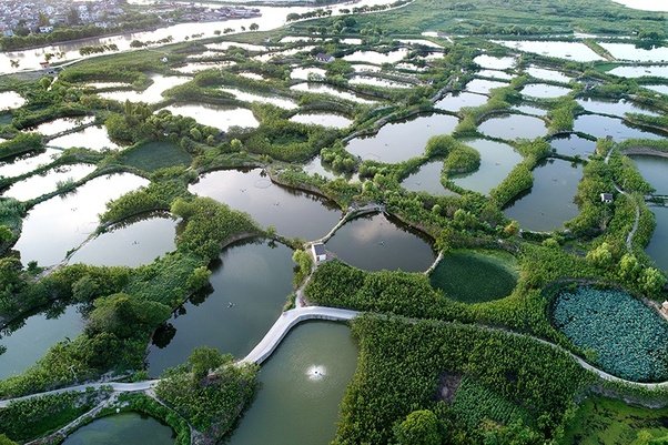lam-nong-nghiep-thong-minh-gan-14-ty-dan-trung-quoc-khong-chi-du-an-ma-con-an-ngon