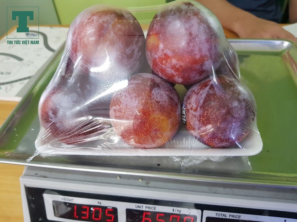 Sau mận vàng, mận đỏ Chile cũng là loại tiêu thụ nhanh nhất và dễ dàng tìm mua tại các hàng hoa quả nhập khẩu.