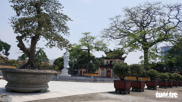 Một con chó được nhốt ngay lối vào chùa Trung Hành - Ảnh: TIẾN THẮNG
