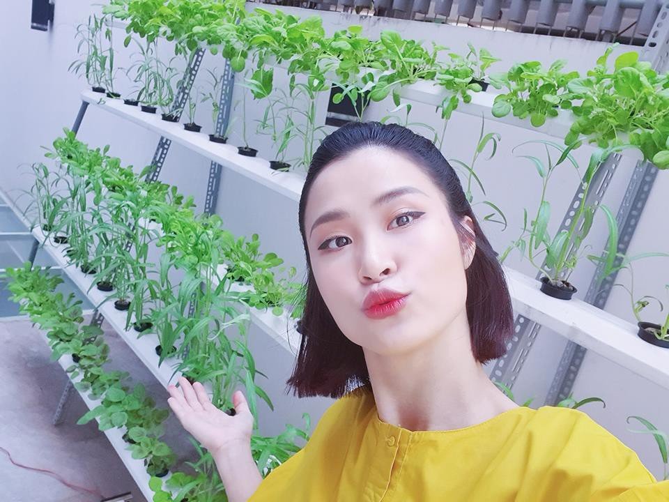 Đông Nhi chia sẻ hình ảnh làm vườn rau tại nhà.