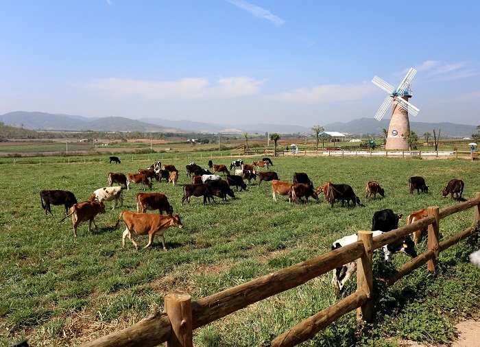 vinamilk-dung-dau-o-ca-sua-nuoc-va-sua-bot-tre-em-tai-viet-nam