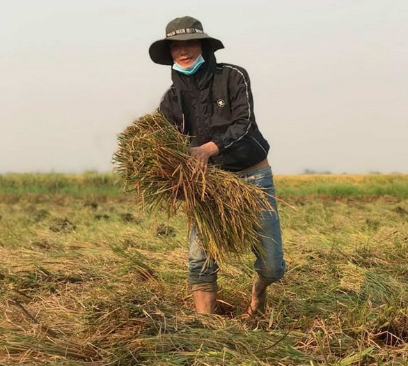 Niềm vui lấp lánh trong mắt học trò