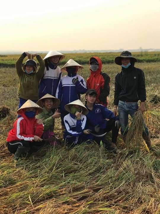 Những bàn tay cầm bút cũng thành thục không kém khi cầm liềm