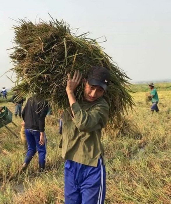 Bạn học đến giúp Tình gặt lúa theo lời kêu gọi của thầy Nam