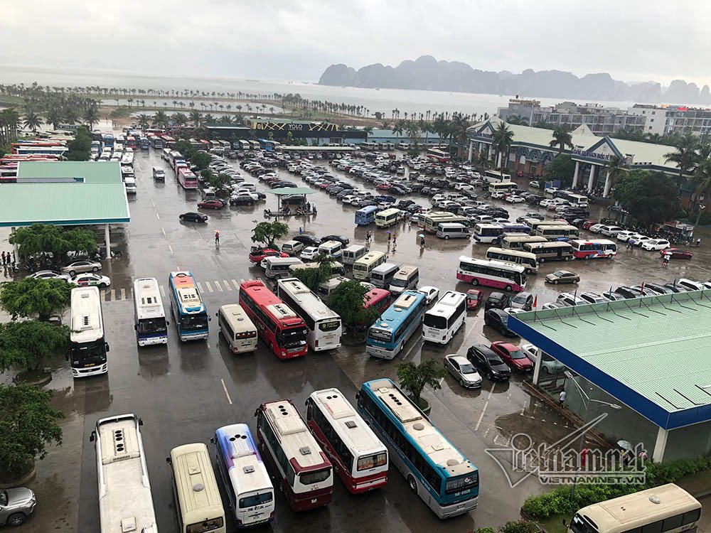 Bãi xe tại cảng Tuần Châu không còn chỗ trống