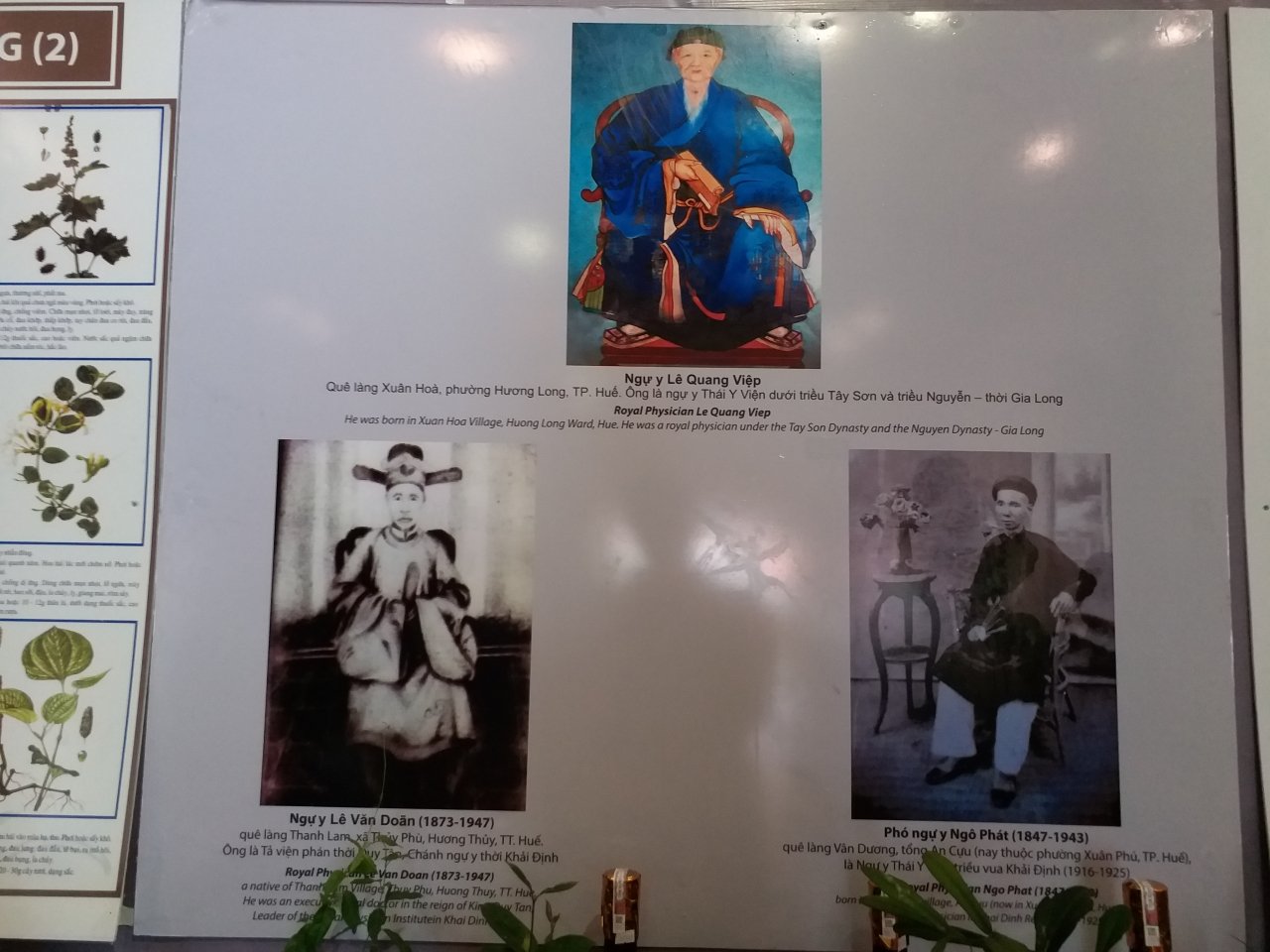 den-khong-gian-dong-y-hue-tim-hieu-ve-thai-y-vien-trieu-nguyen