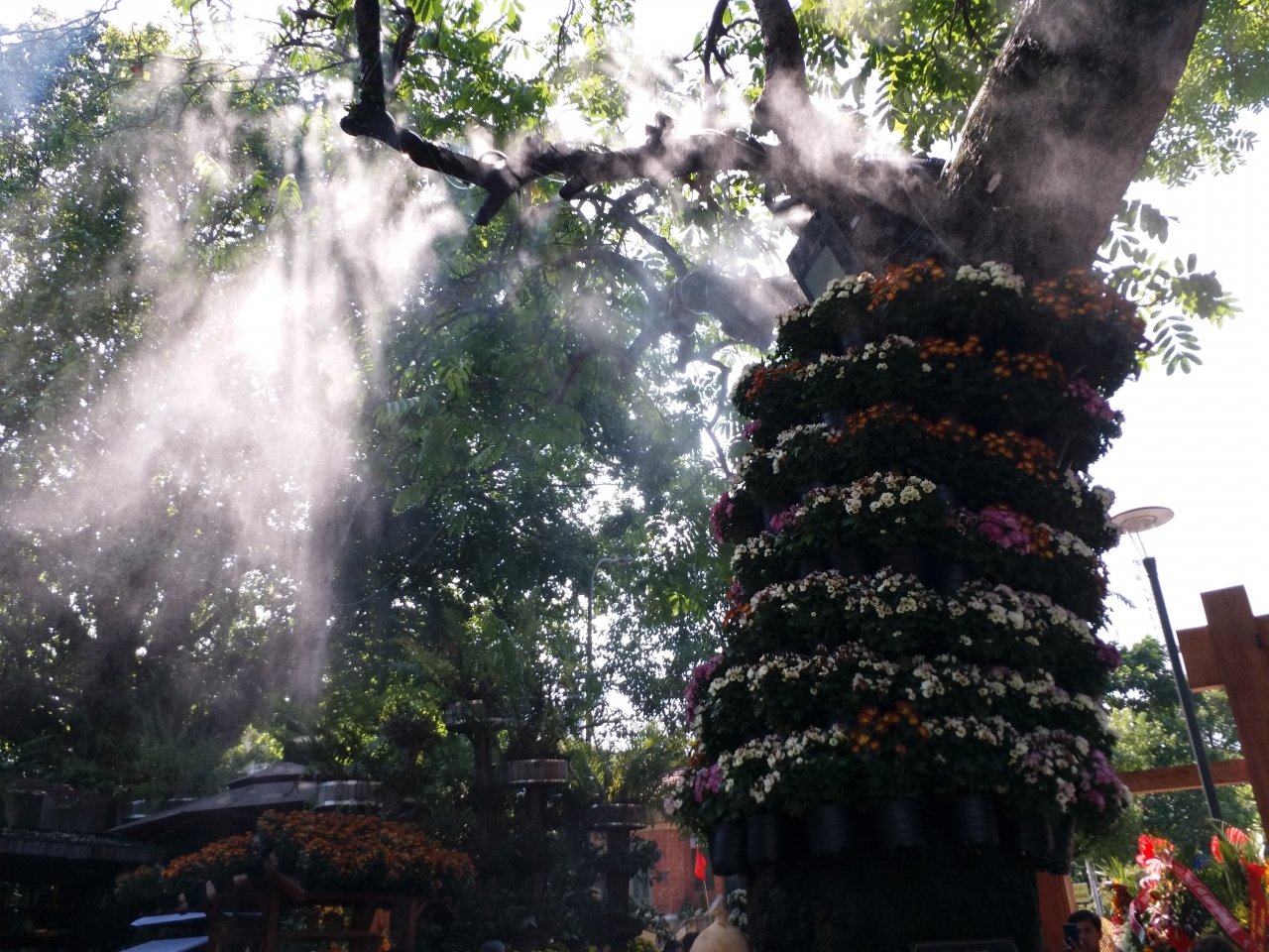 le-hoi-hoa-lan-dau-xuat-hien-festival-nghe-truyen-thong-hue