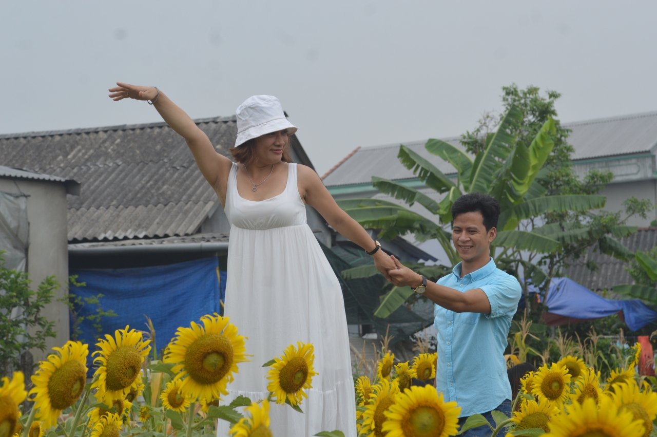 rung-nguoi-chen-chan-chup-anh-cung-hoa-huong-duong-o-hue