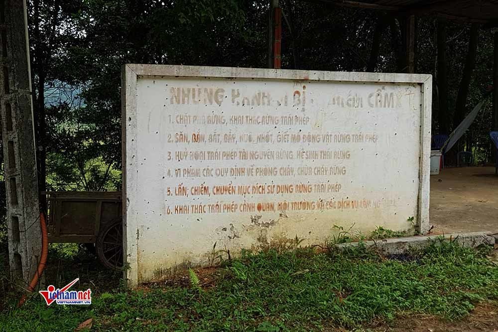 Biển cảnh báo bảo vệ rừng 