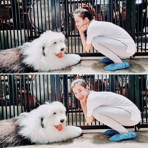 Đông Nhi pose hình bên chó cưng: 