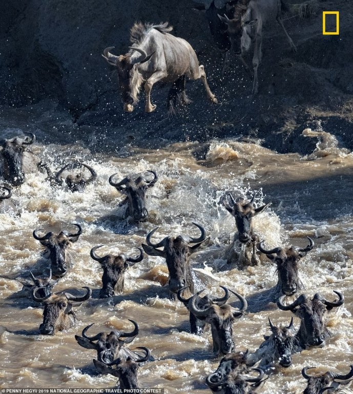 ngam-nhung-tac-pham-xuat-sac-nhat-cuoc-thi-anh-du-lich-national-geographic-2019