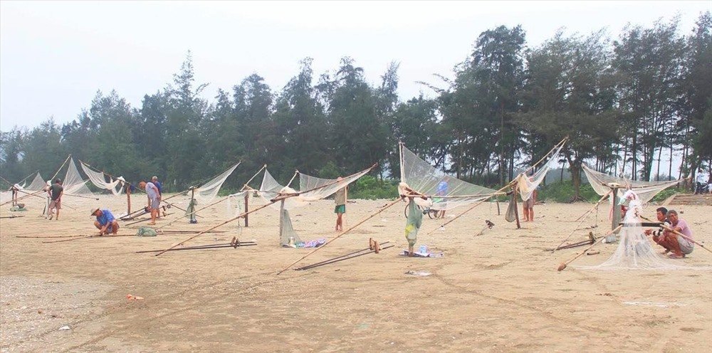 Nghề đánh bắt ruốc biển phụ thuộc vào thời tiết biển, được phân chia thành 2 mùa rõ rệt: Mùa lộng từ tháng 3 đến tháng 7; mùa khơi từ tháng 10 đến tháng giêng, tháng hai năm sau.