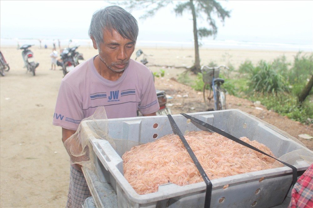 Những mẻ ruốc tươi sau khi được đánh bắt