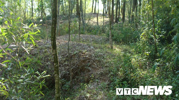 Dấu vết đào bới cổ vật ở núi Rùa.