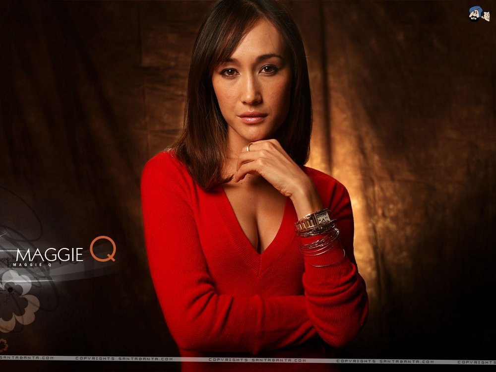 sao-hollywood-nhung-my-nhan-goc-viet-xinh-dep-va-noi-tieng