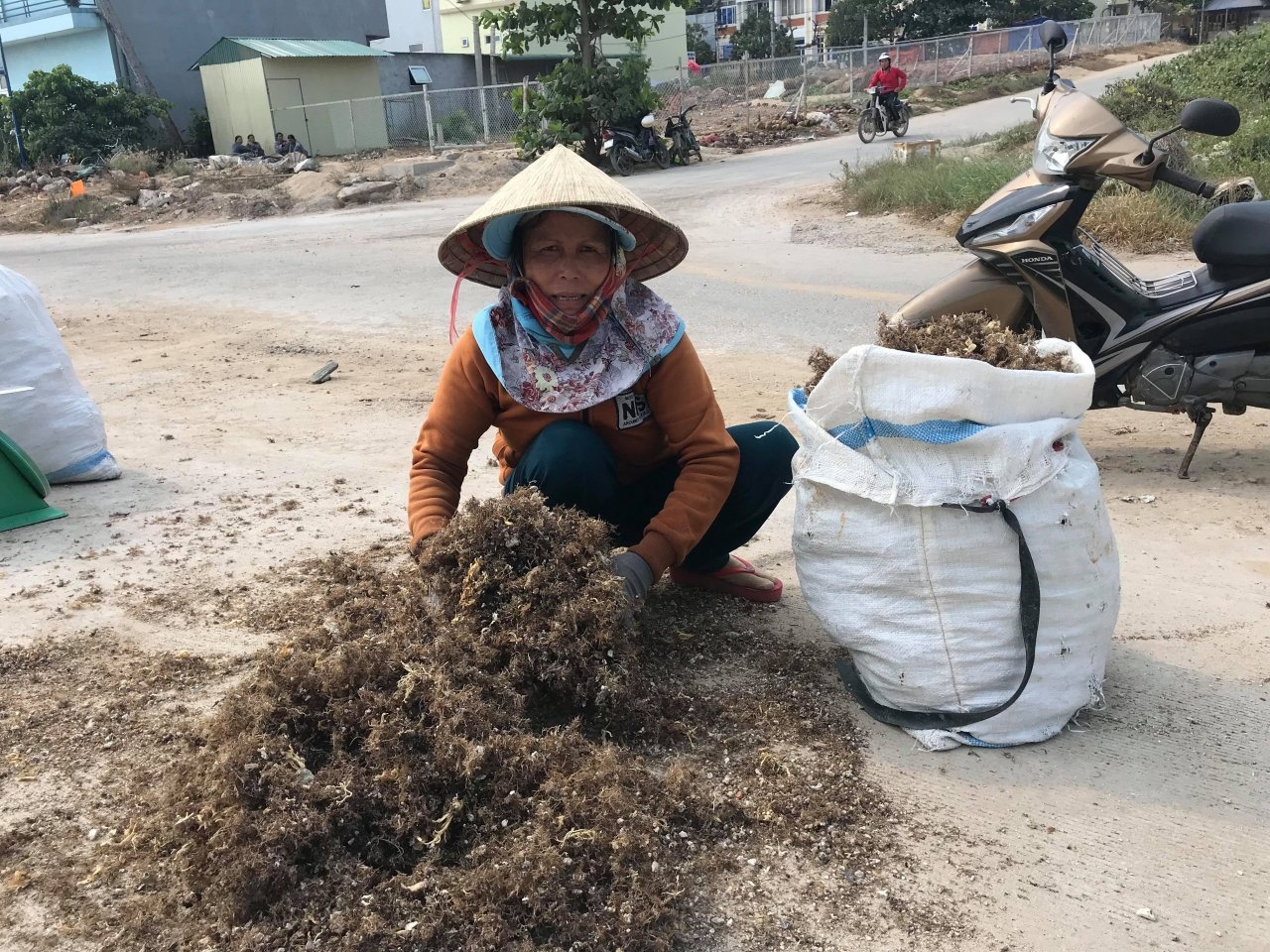 dao-tien-tieu-mua-khai-thac-rong-mo