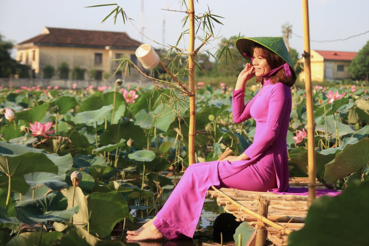 toa-huong-thom-mua-sen-xu-hue
