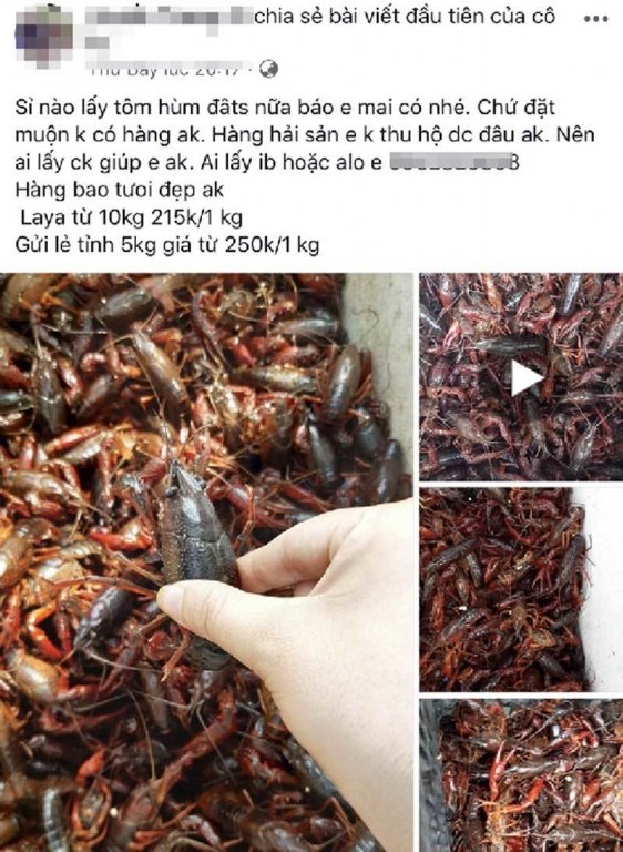 ben-kia-bien-gioi-tran-ve-moi-nguy-tu-trung-quoc-sang-viet-nam