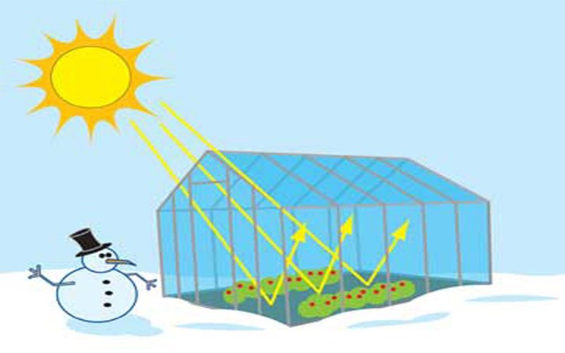 Hiệu ứng nhà kính là gì và để lại hậu quả xấu như thế nào?