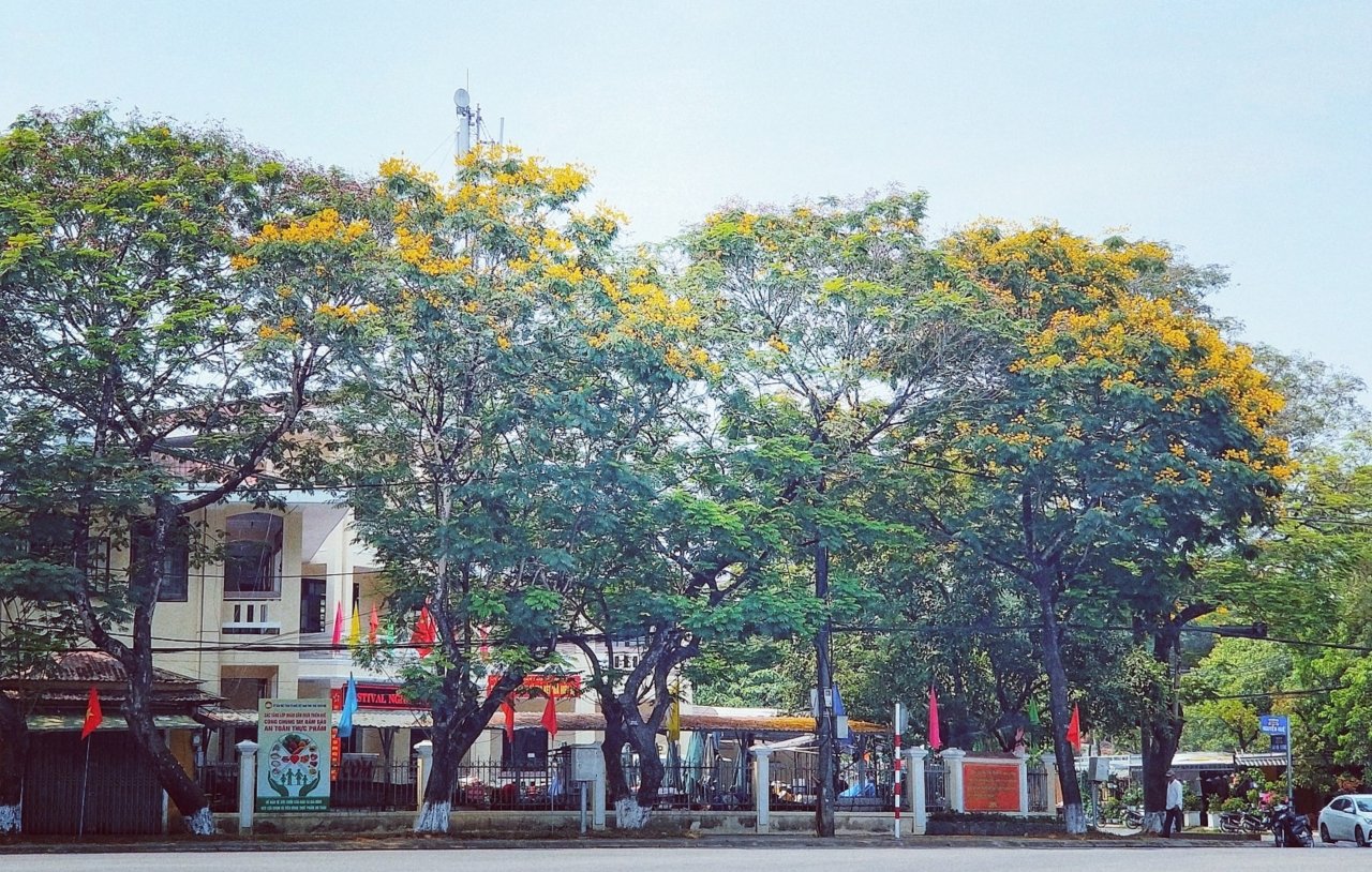 hue-nhung-ngay-vang-nang