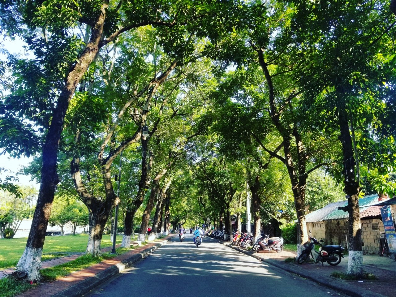 hue-nhung-ngay-vang-nang