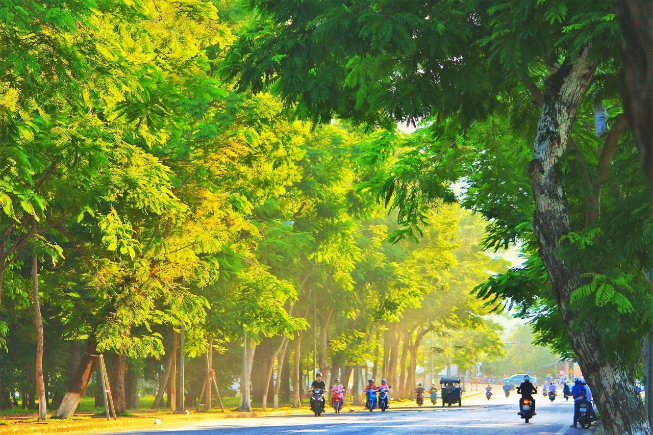 hue-nhung-ngay-vang-nang