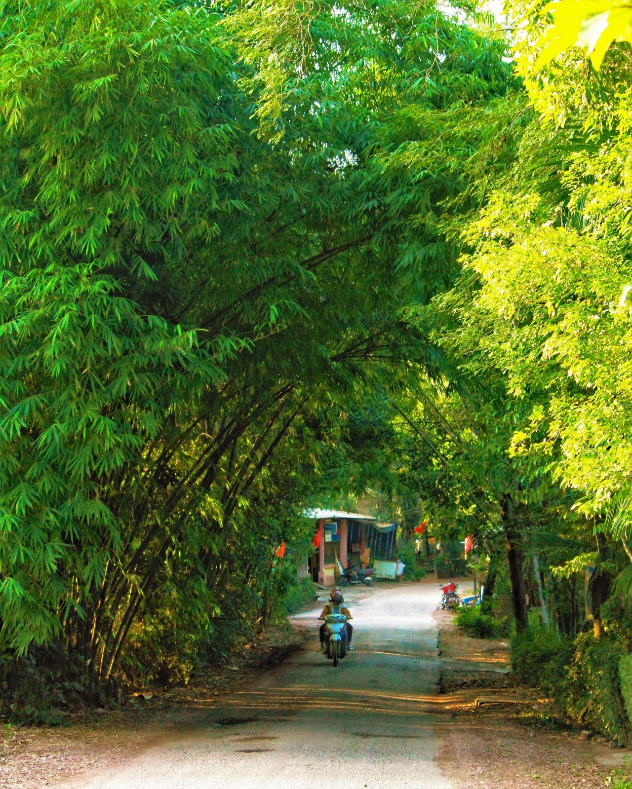hue-nhung-ngay-vang-nang