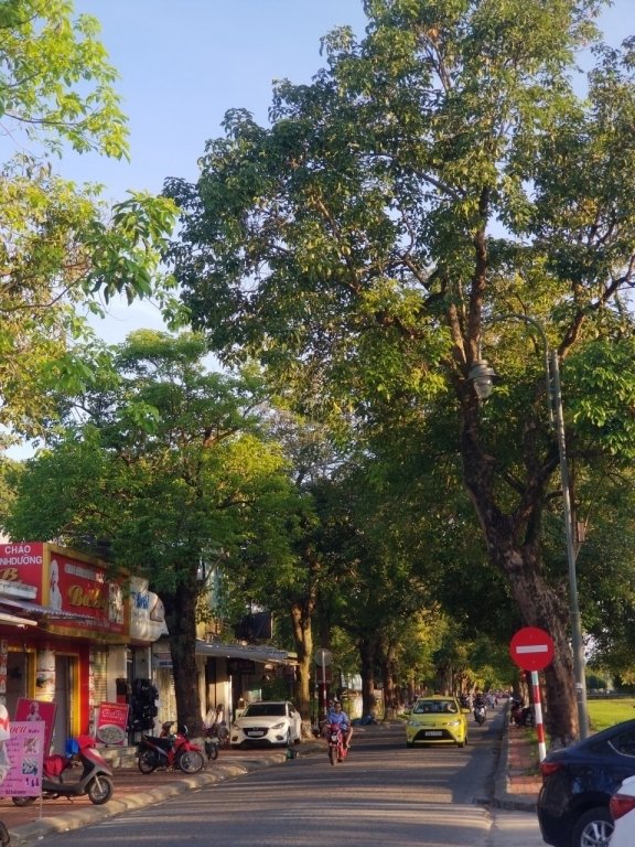 hue-nhung-ngay-vang-nang