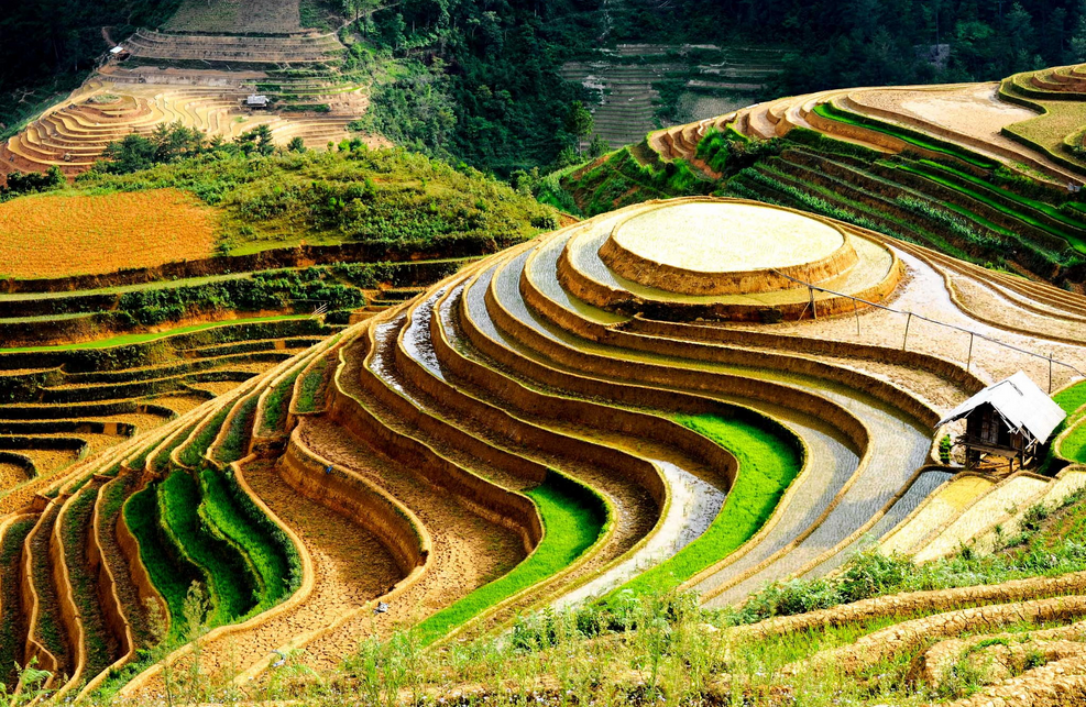 Ruộng bậc thang là gì? Ruộng bậc thang đã xuất hiện từ rất lâu đời
