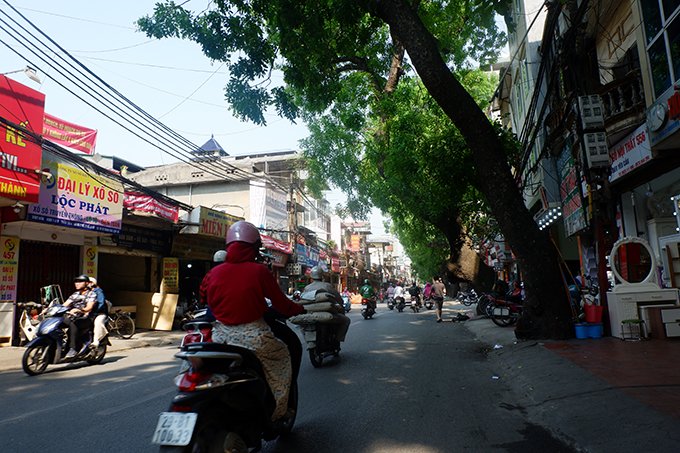 Tại đường Đê La Thành nơi đây sở hữu nhiều cây xanh lâu năm cao to, tỏa bóng rộng.