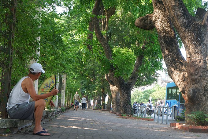 Tại đường Lê Duẩn khu vực công viên Thống Nhất cũng được nhiều người ra đây tập thể dục nghỉ mát vì có nhiều hàng cây xanh