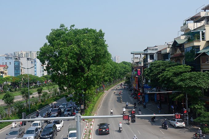 Hàng cây xanh tại đường Láng