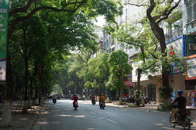 Đường Phan Đình Phùng, Nhắc đến con đường này, nhiều người sẽ liên tưởng ngay đến những hàng sấu cổ thụ xanh rợp bóng. Hè đến, cả con phố chìm trong không gian mát rượi dưới những tán lá phủ dày đến tia nắng giữa trưa cũng khó xiên qua.