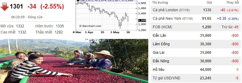 gia-nong-san-hom-nay-185-gia-ca-phe-giam-con-30000-dongkg-tieu-bat-dong