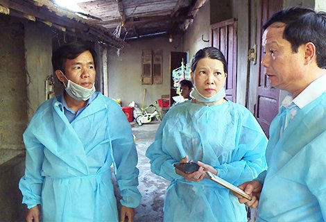 thua-thien-hue-xuat-hien-dich-ta-lon-chau-phi-sau-cong-bo-het-dich-vai-ngay