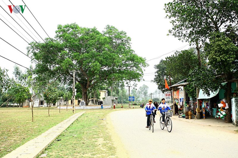 thang 5 ve tham lang sen que bac hinh 1