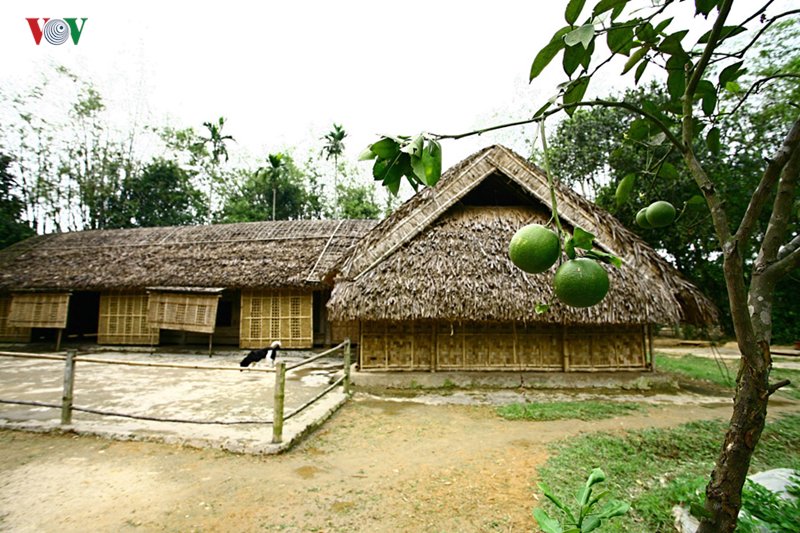 thang 5 ve tham lang sen que bac hinh 5