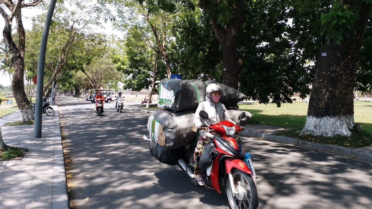 nhung-hang-cay-xanh-co-thu-thanh-noi-cuu-canh-cho-dan-hue