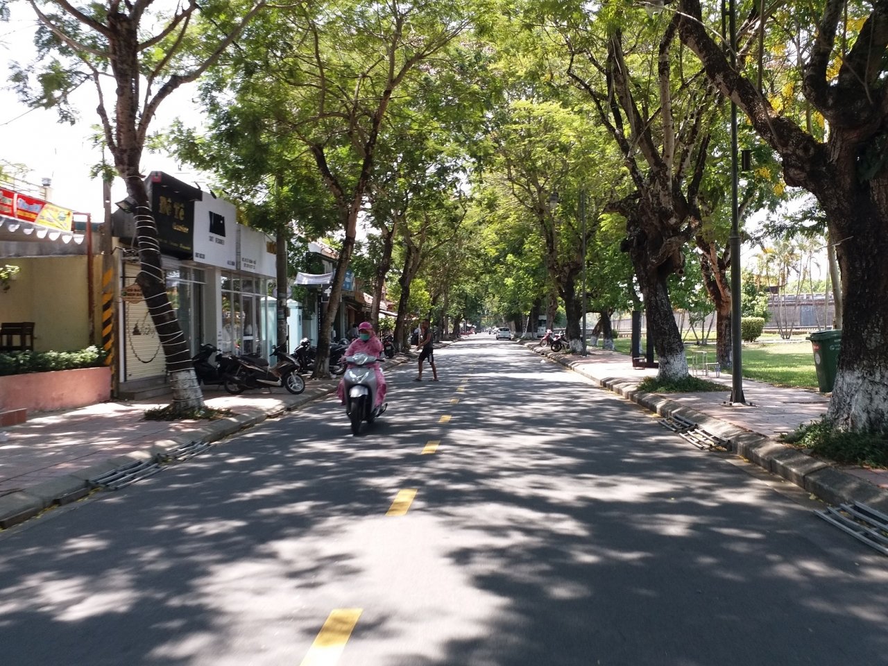 nhung-hang-cay-xanh-co-thu-thanh-noi-cuu-canh-cho-dan-hue