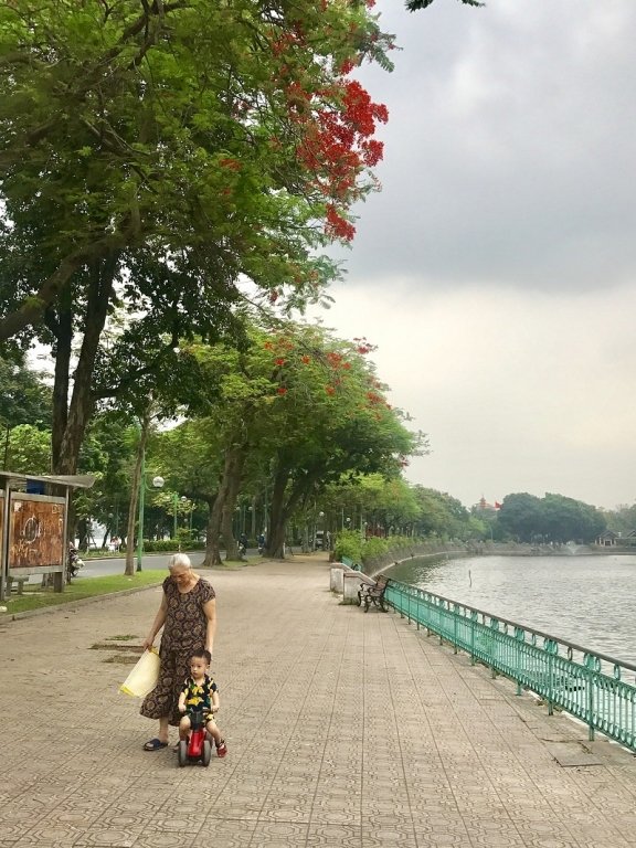 chang-can-di-xa-cung-co-mot-thanh-pho-hoa-phuong-do-giua-long-ha-noi