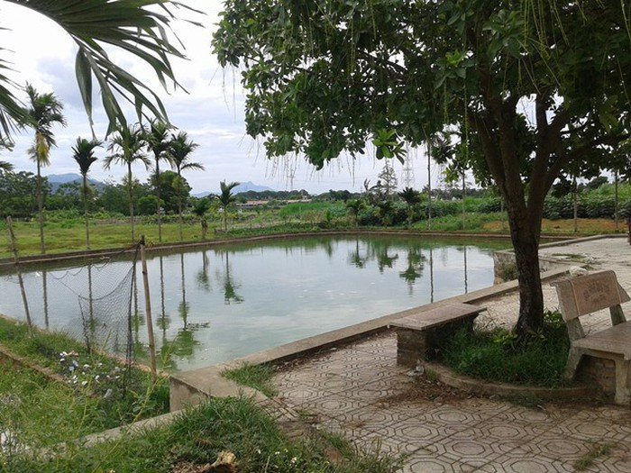 Ảnh minh họa