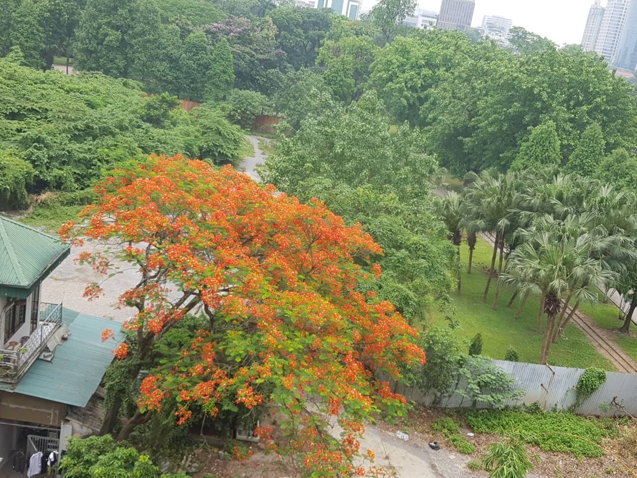 Theo phương án xây dựng bãi đỗ xe ngầm do Công ty khai thác điểm đỗ xe Hà Nội trình, việc xây dựng bãi xe ngầm để tận dụng phần móng 3 tầng hầm của chủ đầu tư khách sạn SAS đã xây dựng trước kia, hiện nay lấp đất bỏ không.