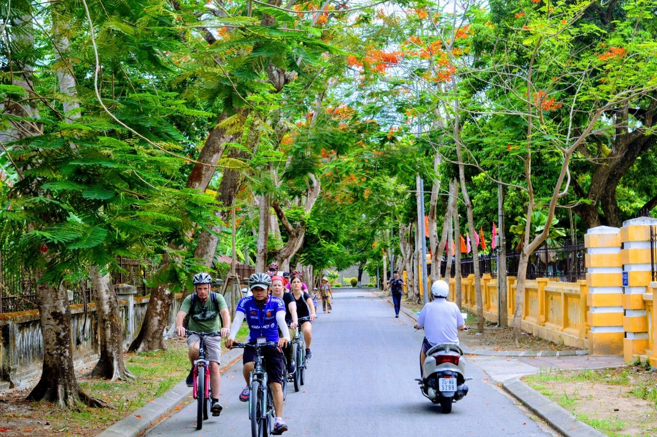 me-man-ngam-hoa-phuong-do-ruc-troi-co-do-hue
