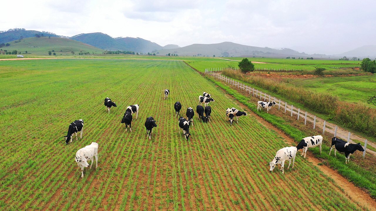 dau-tu-120-trieu-usd-vinamilk-hop-tac-xay-dung-to-hop-resort-bo-sua-organic-tai-lao