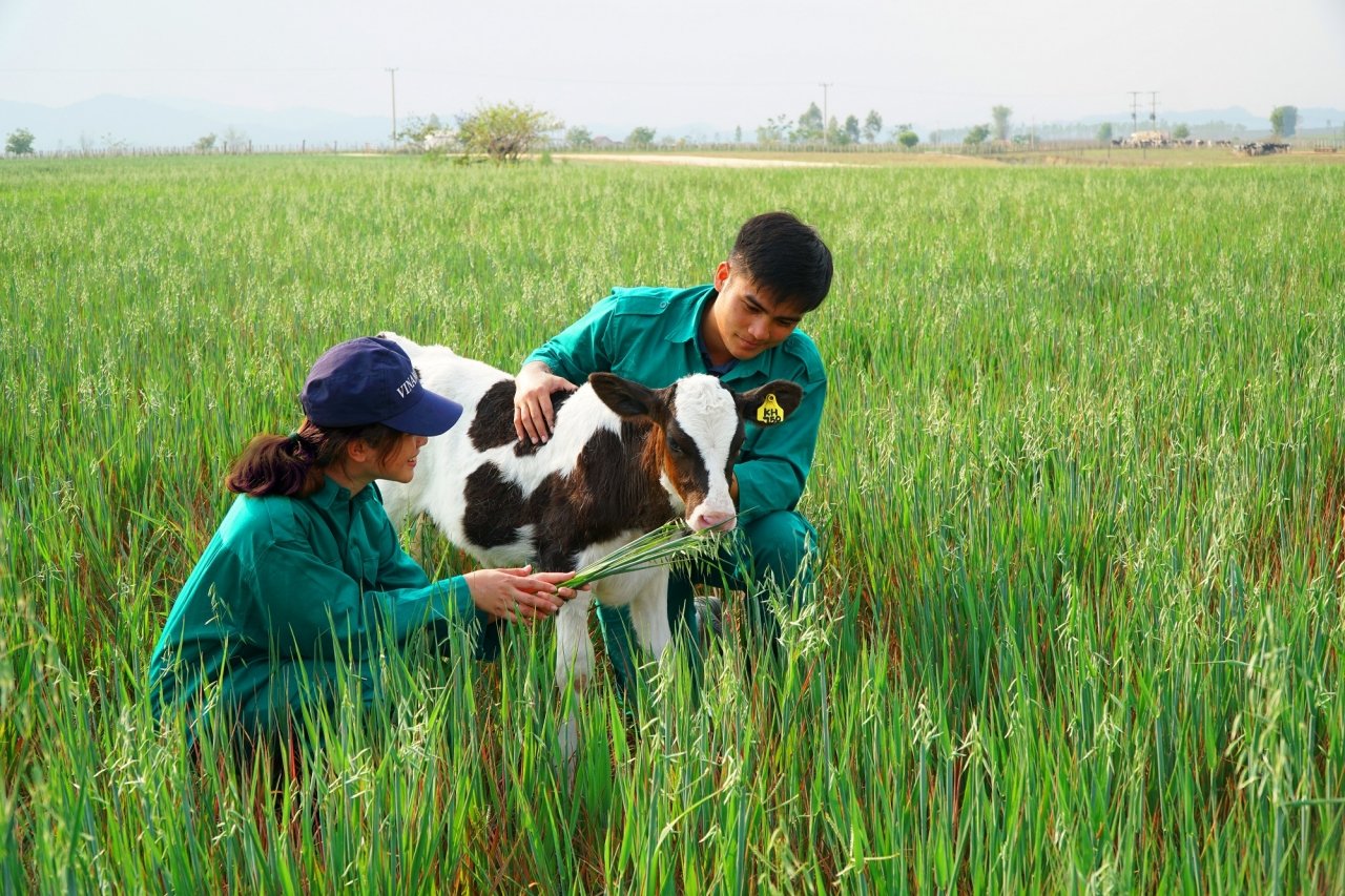 dau-tu-120-trieu-usd-vinamilk-hop-tac-xay-dung-to-hop-resort-bo-sua-organic-tai-lao