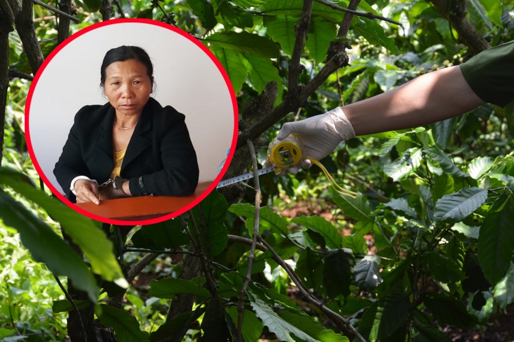 Nghi can ra tay sát hại 3 bà cháu rồi giấu xác tại vườn cà phê gần nhà