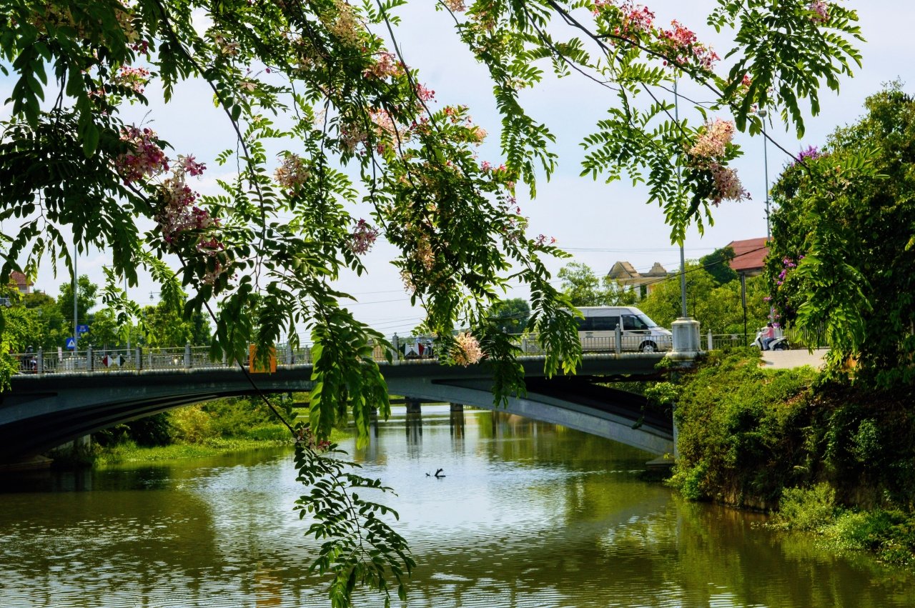 dam-duoi-ngam-nhin-sac-hong-muong-hoa-dao-o-xu-hue