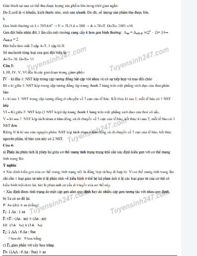 de-thi-vao-lop-10-mon-sinh-chuyen-thpt-chuyen-su-pham-ha-noi-va-dap-an-2019