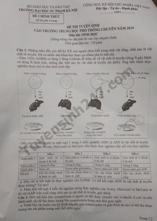 de-thi-vao-lop-10-mon-sinh-chuyen-thpt-chuyen-su-pham-ha-noi-va-dap-an-2019